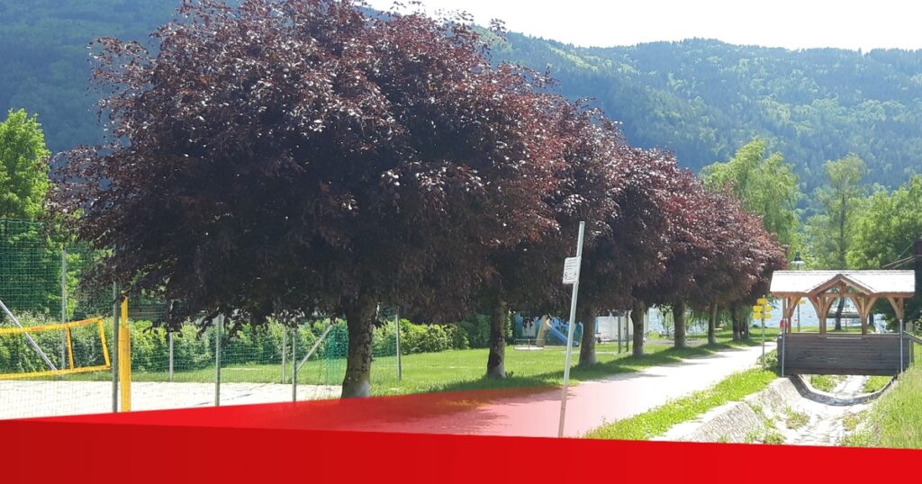 SPÖ-FAMILIENFEST    IN   STEINDORF